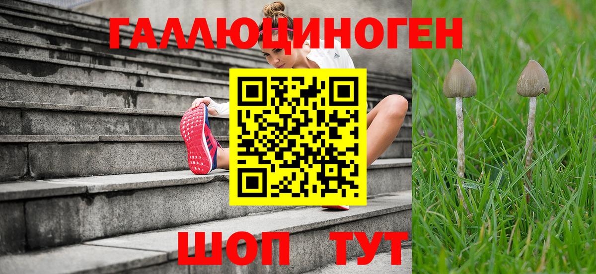 Ирбит  Псилоцибиновые грибы MAGIC MUSHROOMS  Вход с VPN 