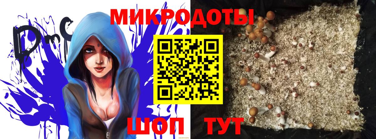 Псилоцибиновые грибы мухоморы Ирбит